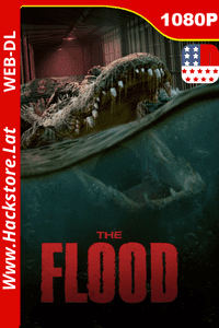 The Flood ()