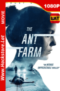 The Ant Farm (2022) ()